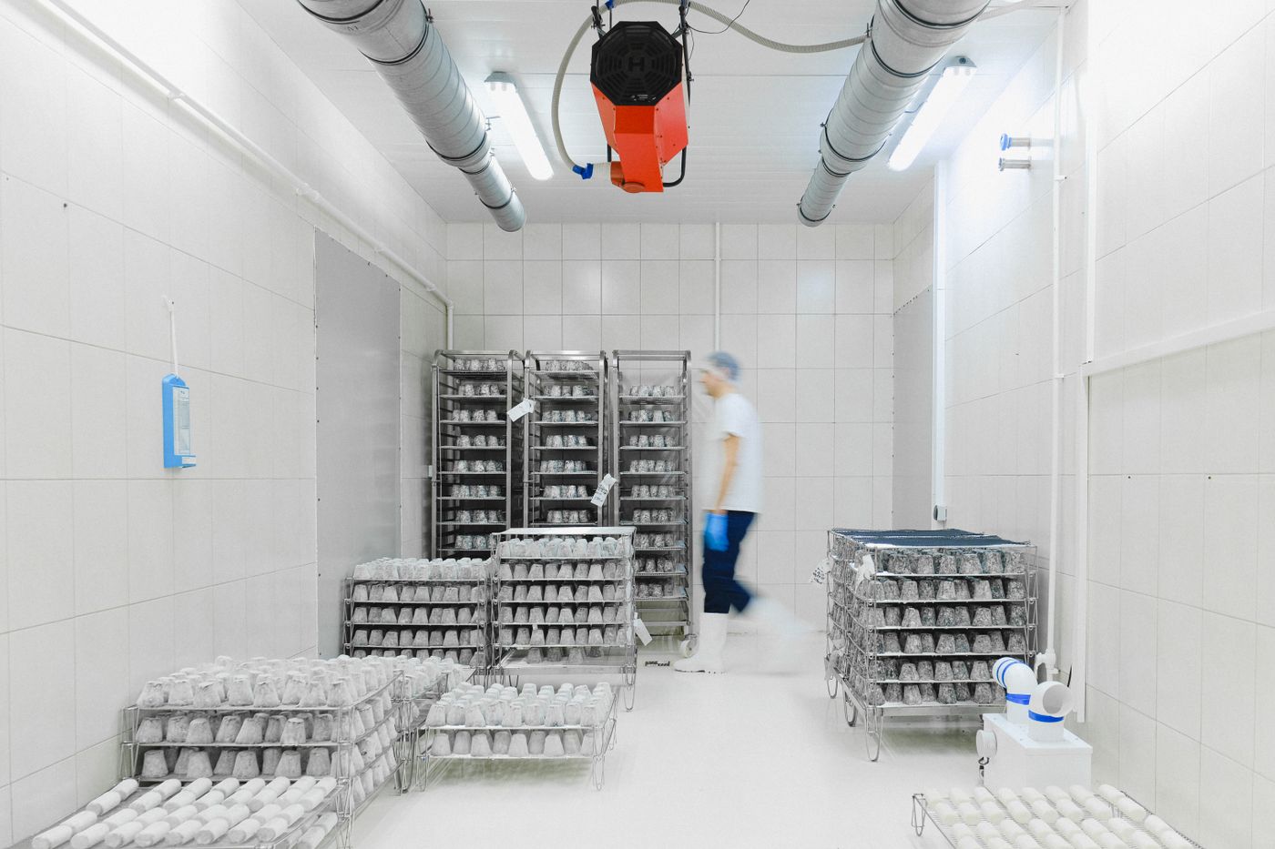 A worker in a white, tiled cold-storage room lined with racks of stored goods